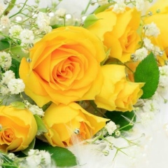 Марія Коберська, 29.01.1985, Тернополь