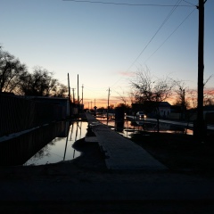 Бекзат Хамиев, 10.07, Шымкент