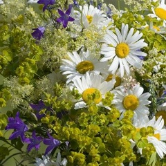 Анна Минцева, 12.10, Днепр (Днепропетровск)