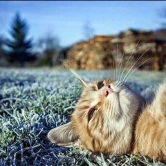 Алексей М, 21.10, Петропавловск-Камчатский