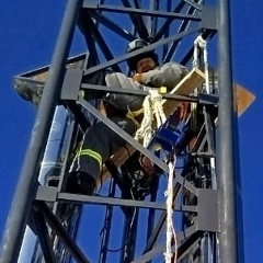 Стёпанька Потемкин, Санкт-Петербург