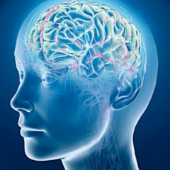 Ваня Карлович, 01.11.1986, Минск