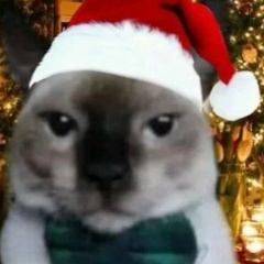 Владимир Филиппенков, 28.07