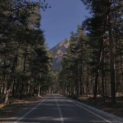 Сардар Дадашев, Кентау