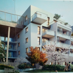 Семён Михалыч, 21.04.1945, Pau