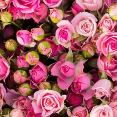 Rushana Khamatdinova, 05.09.1986, Уфа