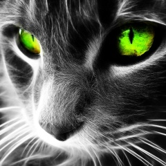 Андрей , 29.08.1986, Москва