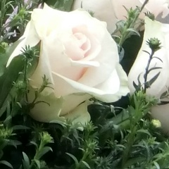 Егор Савельев, 21.03, Моршанск