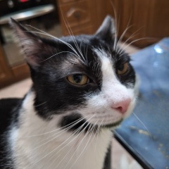 Наталья Алексеева, 20.06, Воскресенск