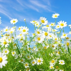 Екатерина Лозовская, 29.05.1989, Киев