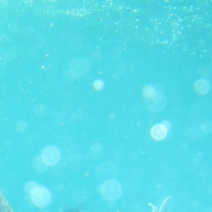 Анна Корнеева, 01.01.1990, Днепр (Днепропетровск)