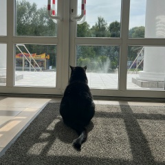 Антон Васильев, Москва