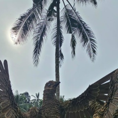 Антон Голов, Королёв