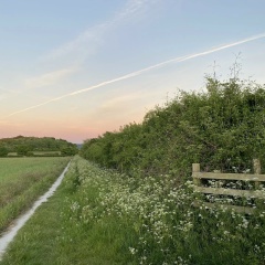 Таня Хорошая, 16.08, Москва