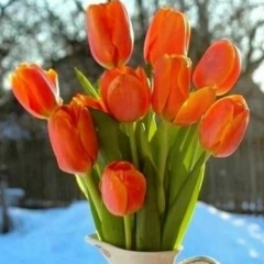 Вера Клюнина, 06.01.1964