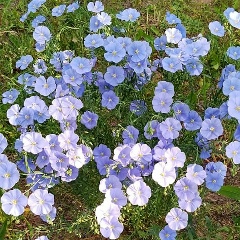 Юлия Гафиятуллина, 23.05, Волжск