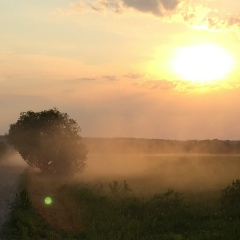 Таисия Градобоева, 11.11, Москва