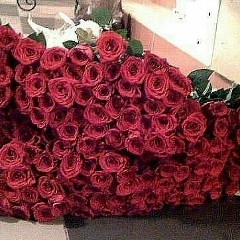 Ahiska Turcanka, 13.09.1995, Алматы