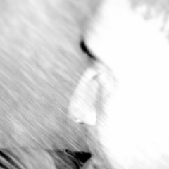 Diego Ramos, 06.05.1986, Rio de Janeiro