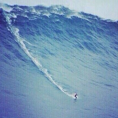 Жамал Маргушев, 08.10, Москва