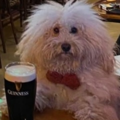 Владимир Смирнов, 16.11.1984, Санкт-Петербург