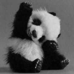 Давид Даглатов, 30.10, Киев