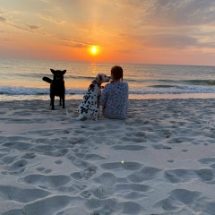 Nikita Heliophilous, 01.01.1950