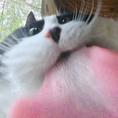 Артур Артур, 10.03, Санкт-Петербург