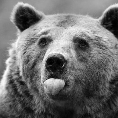 Владимир Захаренко, 12.08