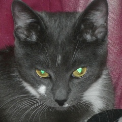 Alexander Mikhailov, 08.02, Санкт-Петербург