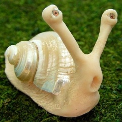 Денис Алексеев, 25.08, Ижевск