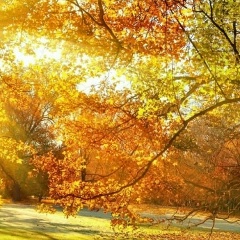 Мария Исхакова, Санкт-Петербург