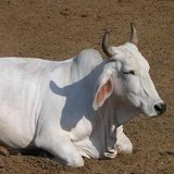 Алексей Калянов, 25.06, Санкт-Петербург