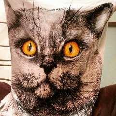 Владимир Латухин, 25.03.1987