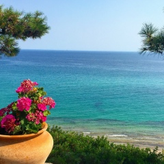 Екатерина Горбунова, Санкт-Петербург