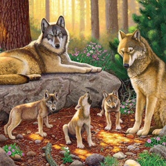 Айгерим Казанбай, 19.10, Астана