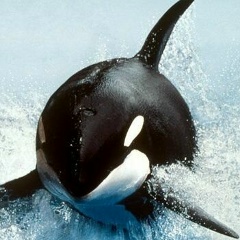 Костя Дмитриев, 07.08.1991, Москва