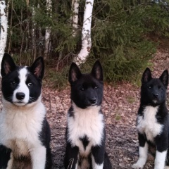 Лена Зорина, 22.02.1993, Фаленки