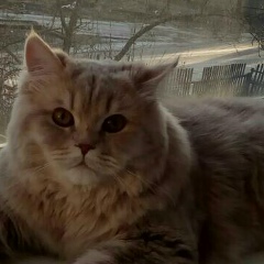 Анна Мусатова, 26.01, Санкт-Петербург