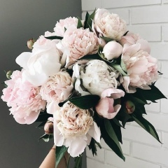 Таня Петрова, 19.12