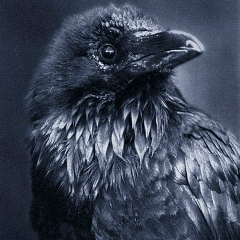 Yura Corvus, 24.12, Санкт-Петербург
