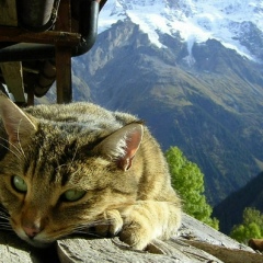 Андрій Бабінчук, 03.11, Львов