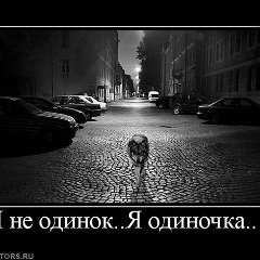 Акбар Керимов, 26.02.1983, Москва