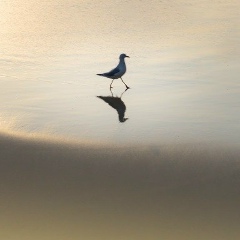 Ольга Ольгина, 10.02, Киев