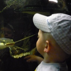 Сергей Яковлев, 11.03