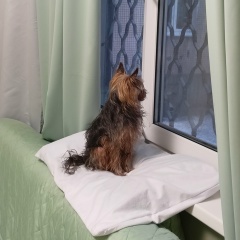 Дженнет Ермолик, 22.11.1973, Елизаветино