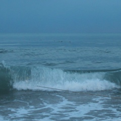 Тим Плотников, 03.10.1985