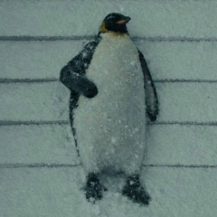 Александр Рубашанов, Москва