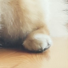 Людмила Дадченко, Санкт-Петербург