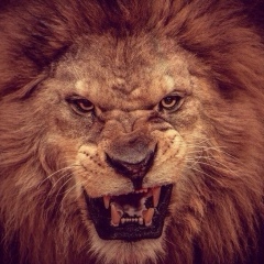 Адам Кумышев, 22.11.1998